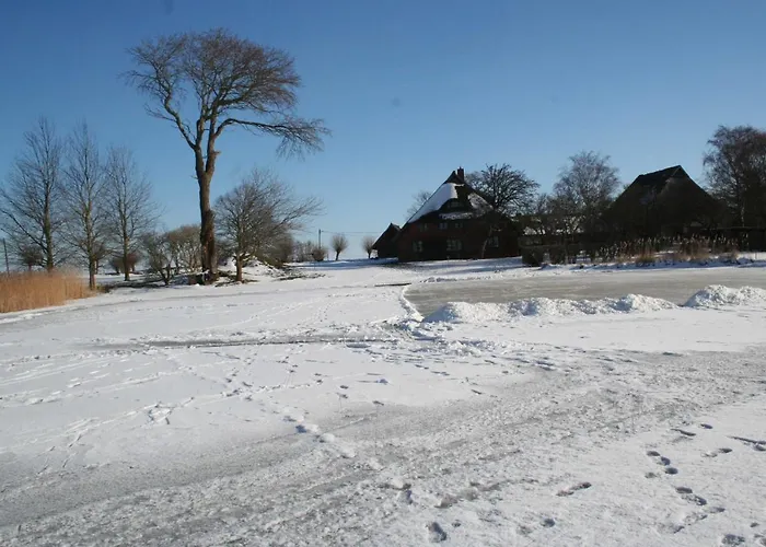 Fw Steuerbord Bruecke 부스트로우